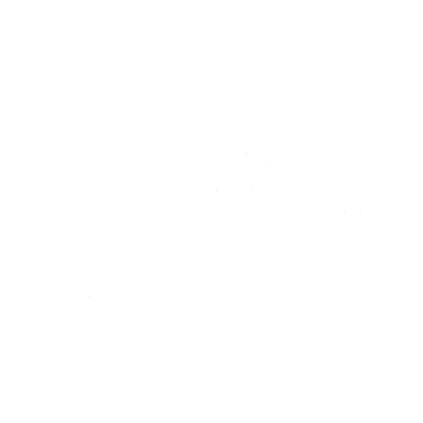 White Lanter Strategic Logo